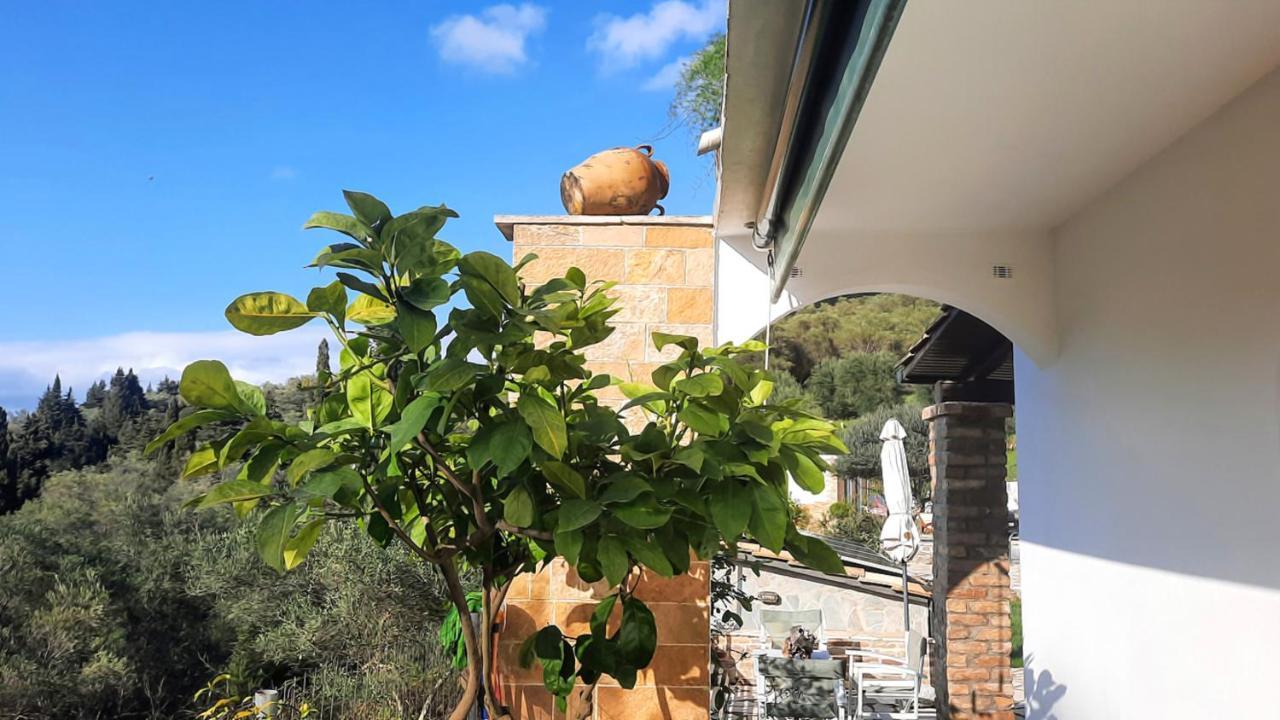 villa claire corfu Achílleion Extérieur photo